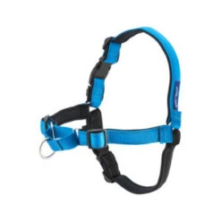 PetSafe Easywalk Hondenharnas Deluxe - Blauw - L 5 PetSafe Easywalk Hondenharnas Deluxe - Blauw - L -ROGZ || Beeztees || Hunter Winkel easywalk tuigje deluxe blauw l 50229 0300 none