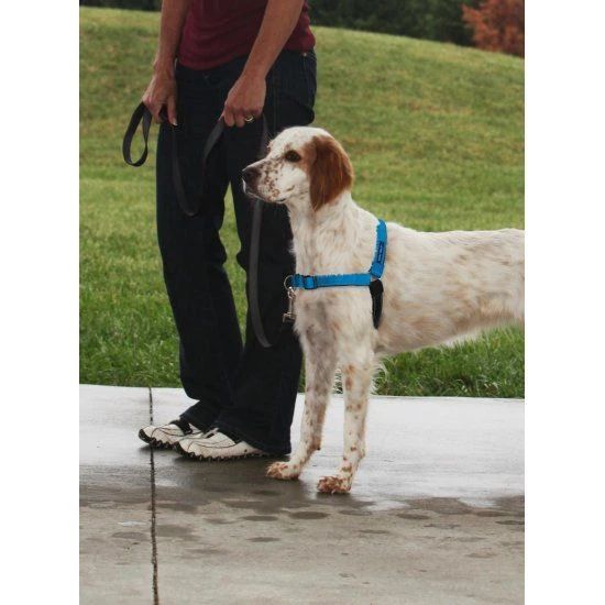 PetSafe Easywalk Hondenharnas Deluxe - Blauw - L 1 PetSafe Easywalk Hondenharnas Deluxe - Blauw - L