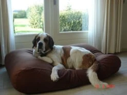 Hondenkussen Chocolade Bruin Medium