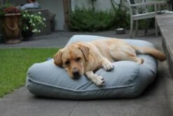 Hondenkussen Lichtgrijs Extra Small