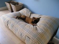 Kattenkussen Country Field 55 X 45 Cm