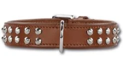 Hondenhalsband Stunning Studs Brown