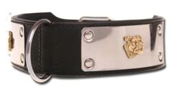 Hondenhalsband Dogs Of Steel