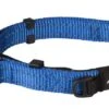ROGZ Hondenhalsband Safety Blauw