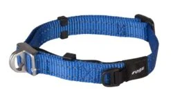 ROGZ Hondenhalsband Safety Blauw