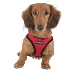 Puppia Soft Harness - S - Rood