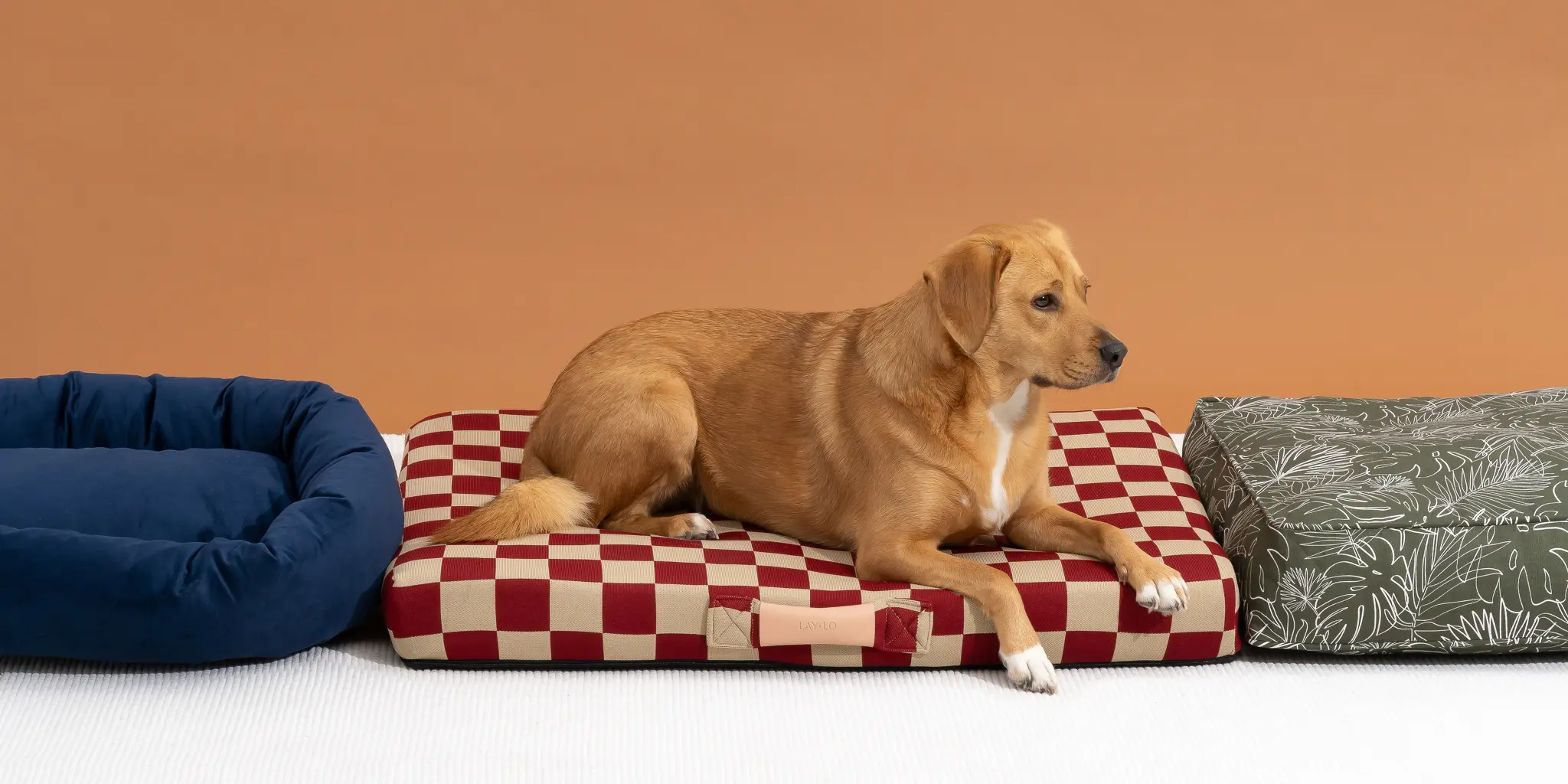 ROGZ || Beeztees || Hunter Winkel -ROGZ || Beeztees || Hunter Winkel dog bed 2048px 5638 2x1 1